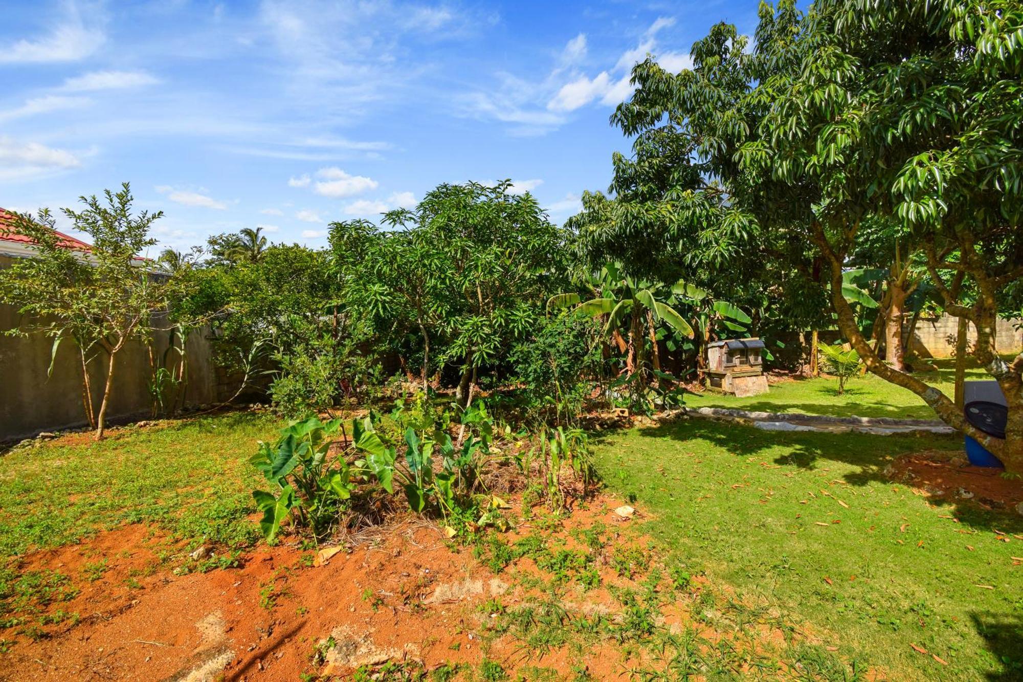 Harriott Heights Apartment Mandeville Exterior photo