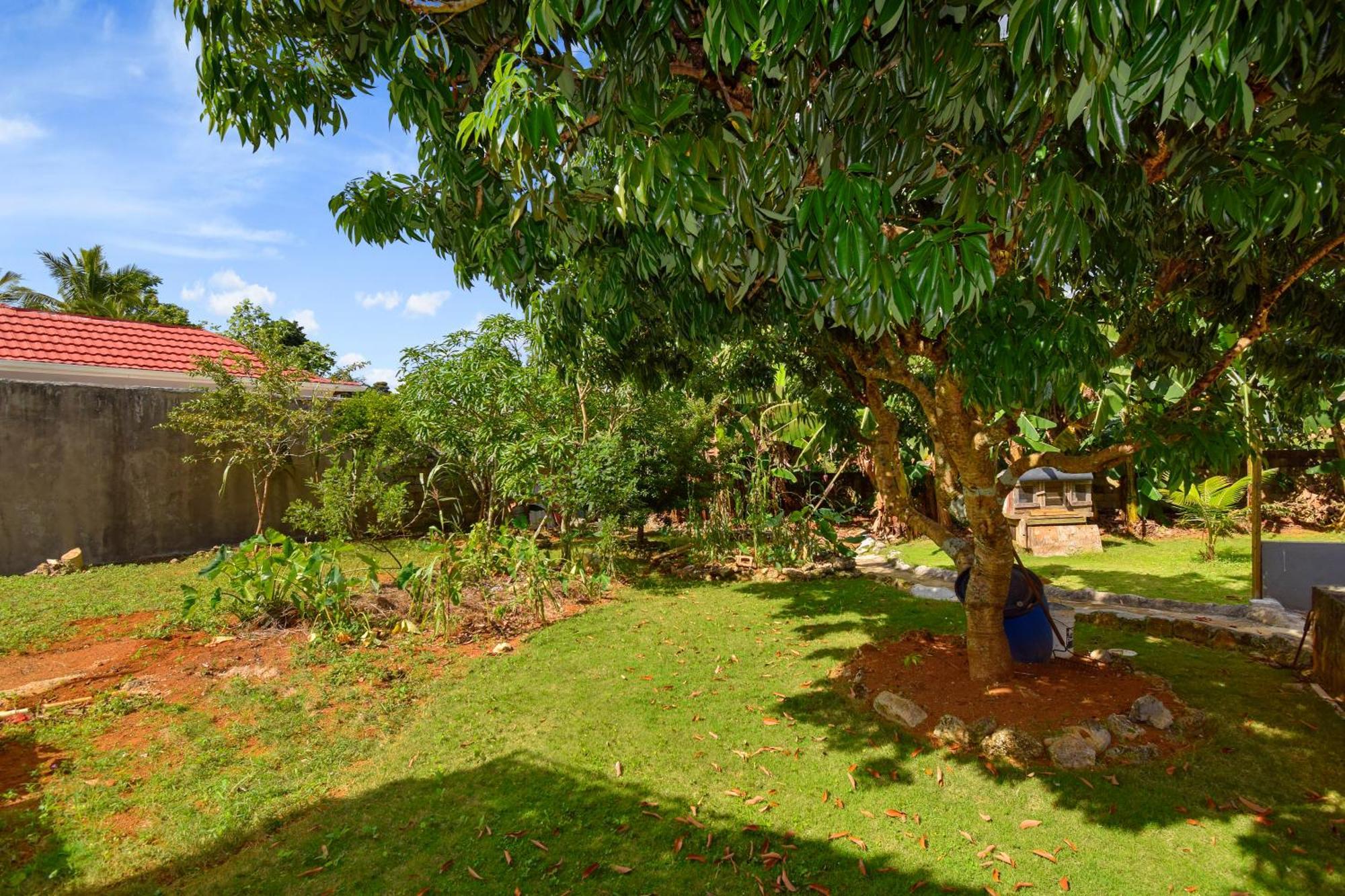 Harriott Heights Apartment Mandeville Exterior photo